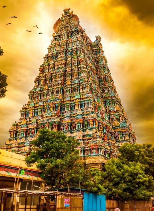 Chennai  to Madurai Drop  Taxi